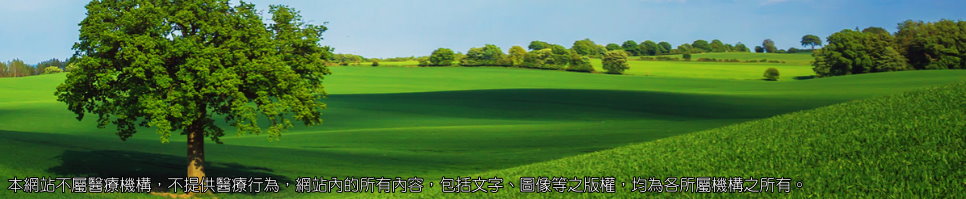 正顎